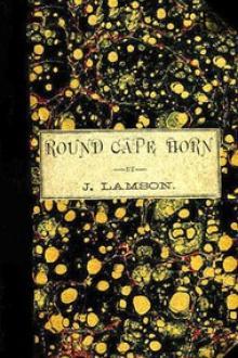 Round Cape Horn by Joseph Lamson