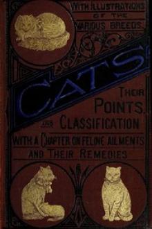 Cats: Their Points and Characteristics by Gordon Stables