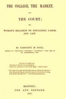 The College, the Market, and the Court by Caroline Wells Healey Dall