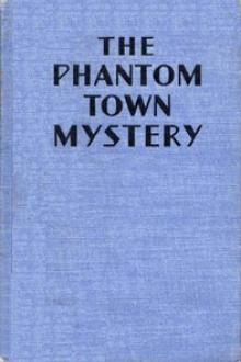 The Phantom Town Mystery by Carol Norton