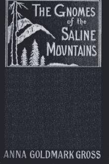 The Gnomes of the Saline Mountains by Anna Goldmark Gross