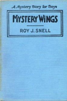 Mystery Wings by Roy J. Snell