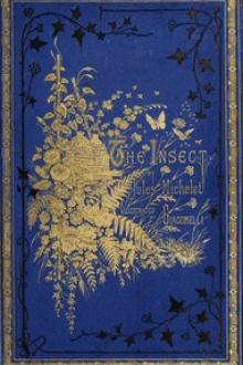 The Insect by Jules Michelet