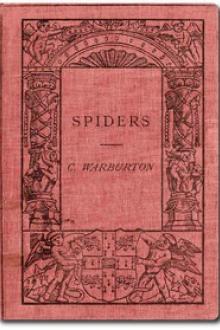 Spiders by Cecil Warburton