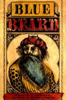 The Wonderful Story of Blue Beard by Unknown