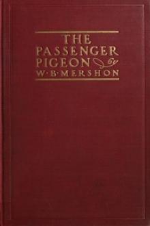 The Passenger Pigeon by Unknown