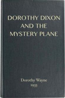 Dorothy Dixon and the Mystery Plane by Dorothy Wayne