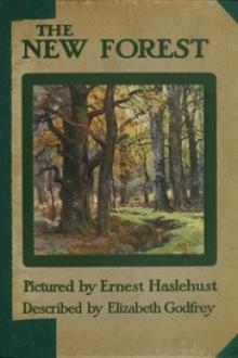 The New Forest by Elizabeth Godfrey