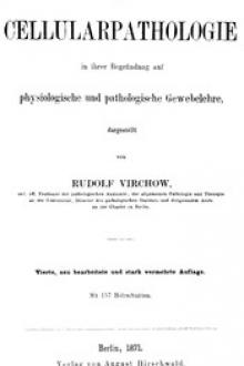 Die Cellularpathologie by Rudolf Virchow
