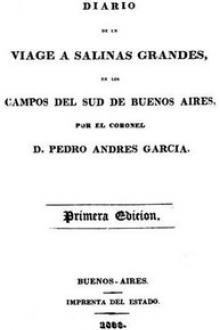 Diario de un viage a Salinas Grandes by Pedro Andrés García