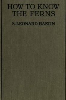 How to Know the Ferns by S. Leonard Bastin