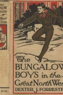 The Bungalow Boys in the Great Northwest by John Henry Goldfrap