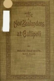 New Zealanders at Gallipoli by Fred Waite