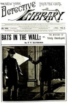 Bats in the Wall by P. T. Raymond