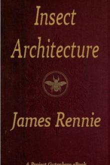 Insect Architecture by James Rennie
