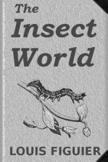 The Insect World by Louis Figuier