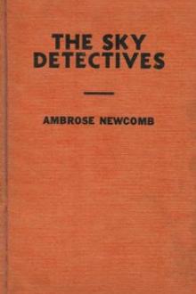 The Sky Detectives by Ambrose Newcomb