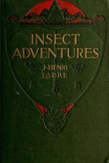 Insect Adventures by Jean-Henri Fabre, Louise Hasbrouck Zimm