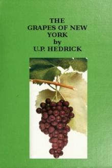 The Grapes of New York by U. P. Hedrick