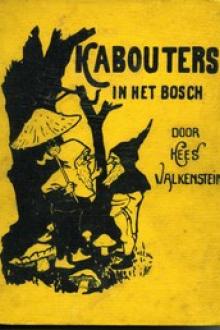 Kabouters in het Bosch by Kees Valkenstein