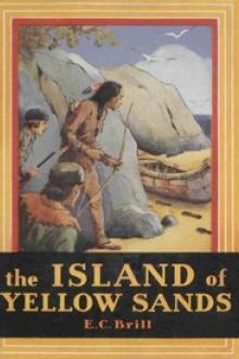 The Island of Yellow Sands by Ethel Claire Brill