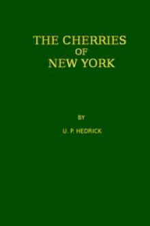 The Cherries of New York by U. P. Hedrick