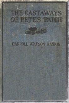 The Castaways of Pete's Patch by Carroll Watson Rankin