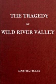 The Tragedy of Wild River Valley by Martha Finley