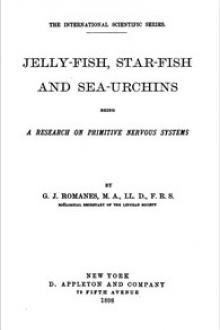 Jelly-Fish, Star-Fish, and Sea-Urchins by George John Romanes