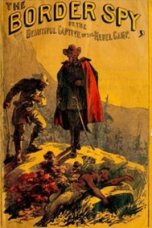 The Border Spy; or, The Beautiful Captive of the Rebel Camp by Harry Hazelton