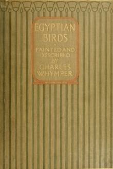 Egyptian Birds by Charles Whymper