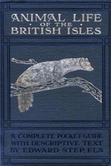 Animal Life of the British Isles by Edward Step
