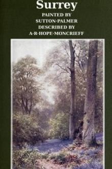 Surrey by Ascott Robert Hope Moncrieff