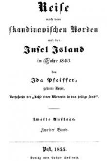 Reise nach dem skandinavischen Norden und der Insel Island im Jahre 1845 by Ida Pfeiffer