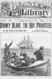 Barney Blake, The Boy Privateer by Herrick Johnstone