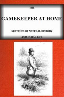 The Gamekeeper at Home: Sketches of natural history and rural life by Richard Jefferies