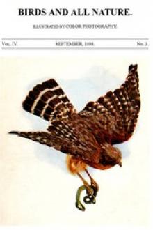 Birds and All Nature, Vol. 4, No. 3, September 1898 by Various