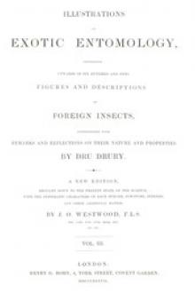 Illustrations of Exotic Entomology by Dru Drury