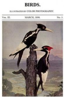 Birds and All Nature, Vol. 3, No. 3, March 1898 by Various