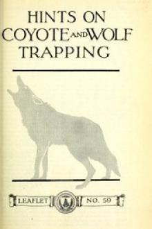 Hints on Wolf and Coyote Trapping by Stanley Paul Young