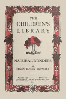 Natural Wonders by Edwin Tenney Brewster