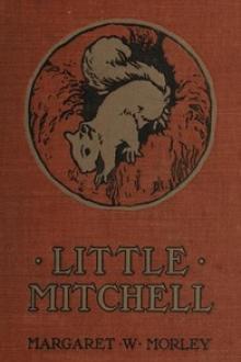 Little Mitchell by Margaret Warner Morley