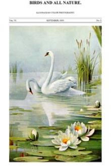 Birds and All Nature, Vol. 6, No. 2, September 1899 by Various