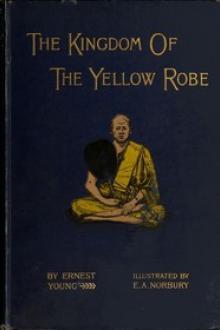 The Kingdom of the Yellow Robe by Edward Young