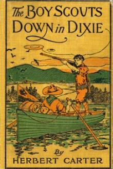 The Boy Scouts Down in Dixie by active 1909-1917 Carter Herbert