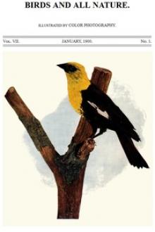 Birds and All Nature, Vol. 7, No. 1, January 1900 by Various