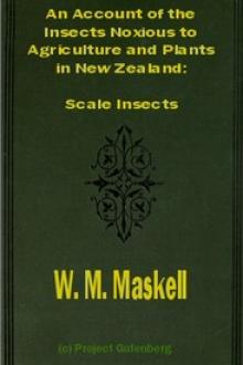 An Account of the Insects Noxious to Agriculture and Plants in New Zealand by William Miles Maskell