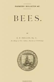 Bees by Everett Franklin Phillips