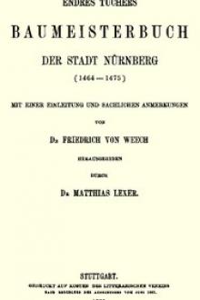 Endres Tuchers Baumeisterbuch der Stadt Nürnberg by Endres Tucher