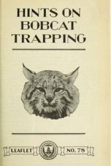 Hints on Bobcat Trapping by Stanley Paul Young